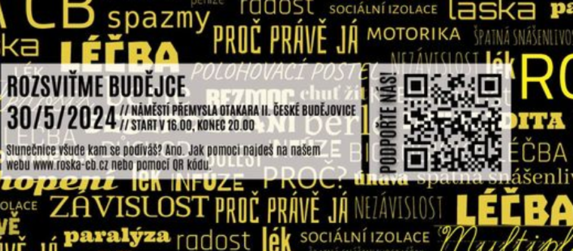 Snímek obrazovky 2024-05-27 141950