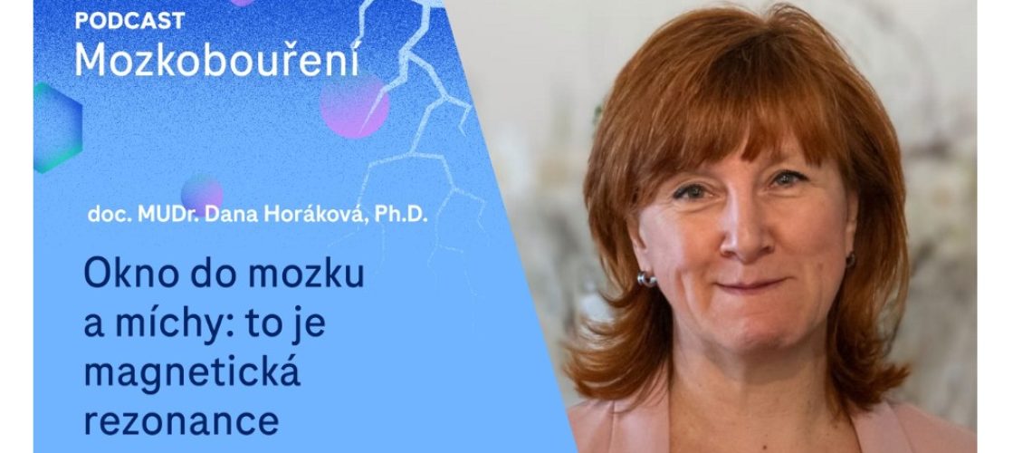 Snímek obrazovky 2024-07-20 121500