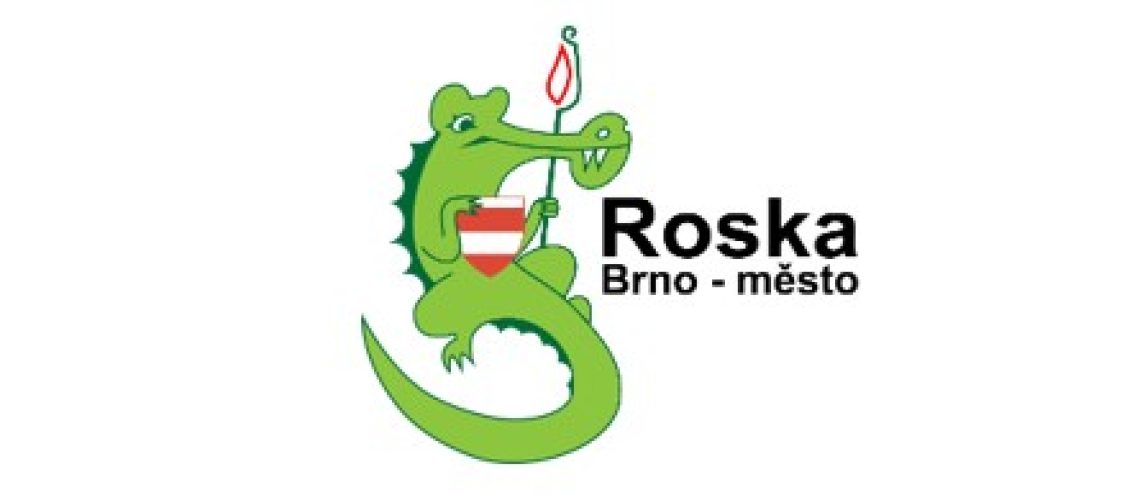 Snímek obrazovky 2024-10-23 083800