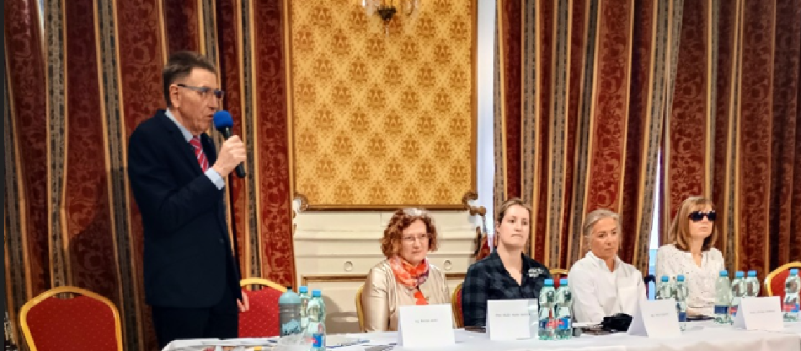 Snímek obrazovky 2025-04-29 203742